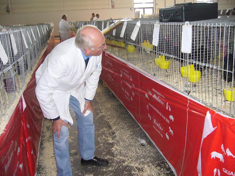Muenster 2008 007.jpg - Die Preisrichter geben sich mühe um die Tiere richtig zu benoten